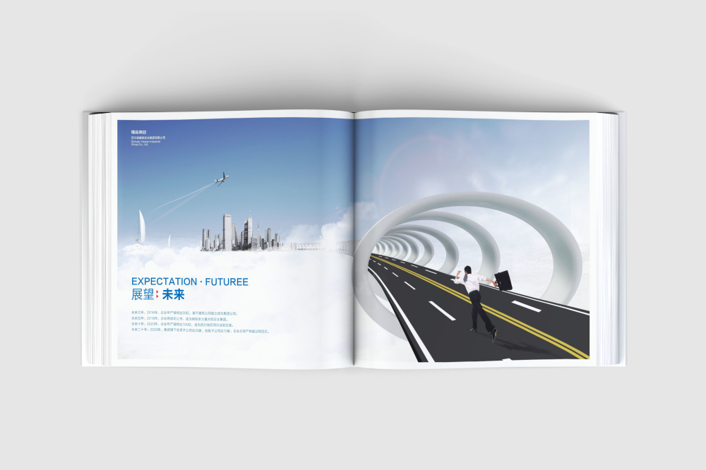 攸县画册设计